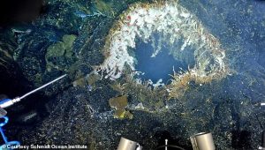Scientist William Chadwick believes the Axial Seamount (Pictured) is likely to erupt before the end of 2025