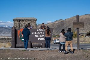 The data found that the bears' deaths were largely due to humans