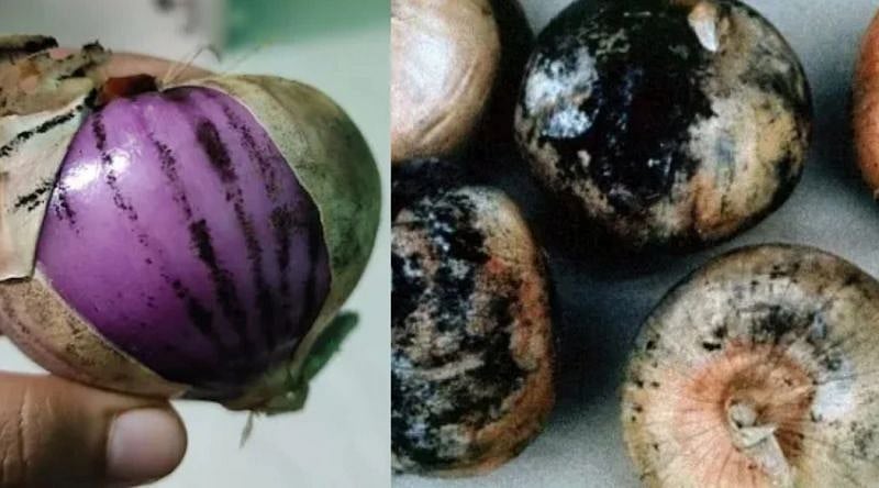 Abhishek Chaudhary/LinkedIn