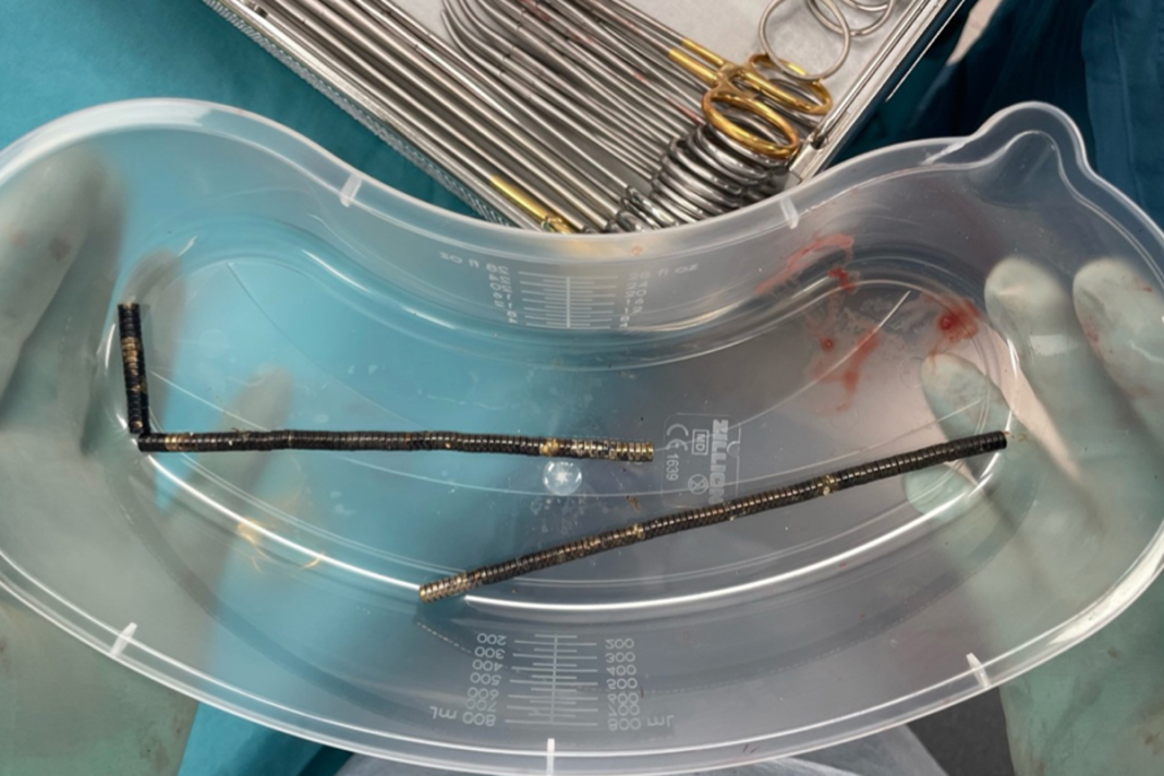 US: Origami Robots With Magnetic Muscles Could Transform Drug Delivery