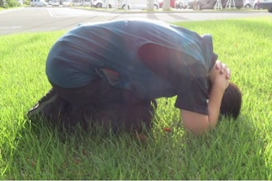 Bear activity is on the rise