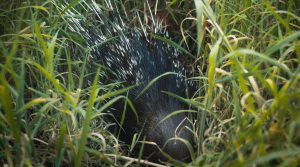 A still from the film ‘Humans in the Loop’.