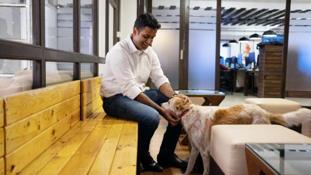 The Zerodha CEO said the email evaded all spam and phishing filters and when he clicked on the “Change Your Password” link and entered his credentials. (Bloomberg)