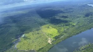 Many past extinctions driving earlier forecasts were primarily caused by invasive species. (Photo: Getty)