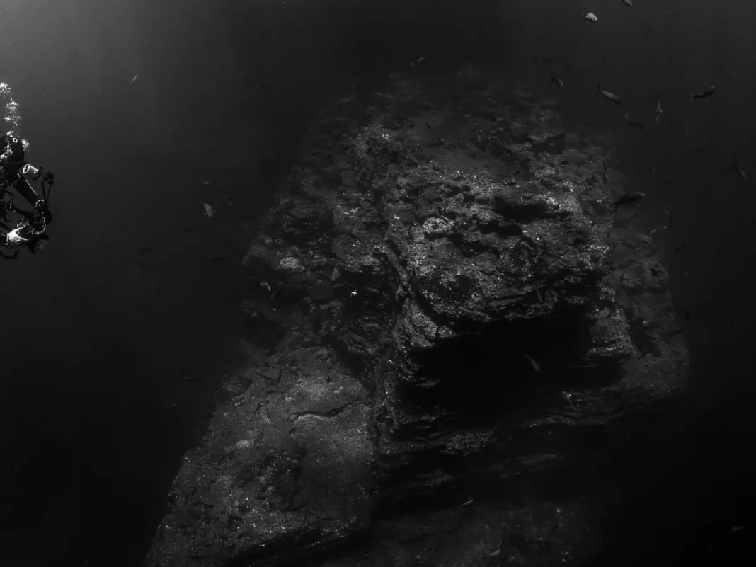 Deep ocean discovery has left scientists scratching their heads.