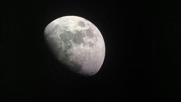 Earth now has a second moon until 2083 (Representative image)