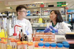 Xuechen Zhang and Ana Angelova Volponi in the laboratory at King’s College London.