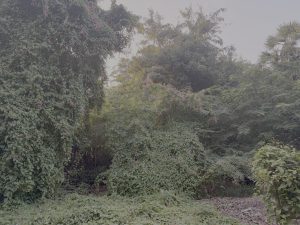 Picture shot on iPhone Air’s main camera - f/1.6, 1/181 sec, ISO 125