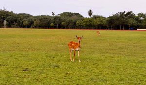 Picture shot on iPhone Air’s main camera - f/1.6, 1/94 sec, ISO 50