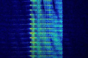 The Cold War-era shortwave station has been broadcasting a continuous, monotonous buzzing sound since the 1970s. Pictured is data collected from the broadcast