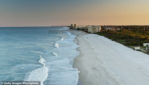 The team studied 20 dolphins stranded on the shores of Florida's Indian River Lagoon (pictured), finding they all had signs of Alzheimer's