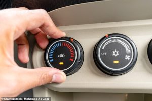 A poll of nearly 14,000 drivers found that 22°C is the ideal year-round temperature to set the thermostat in your car (file image)