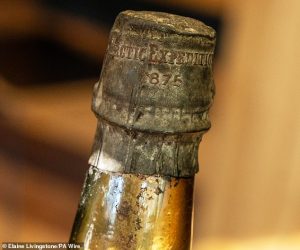 The beer is more of a survival food than a refreshing drink. It contains six times the calories of a regular beer, enough sugar to avoid freezing at -40°C (-40°F) and an alcohol content of over nine per cent ABV