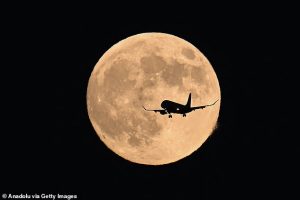 A plane flying in front of a Hunter supermoon as it rose over San Francisco Bay, California in October last year