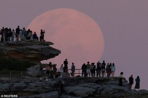 The Beaver supermoon rising over North Bondi in Sydney, Australia. Experts said it will appear 8 per cent larger than usual