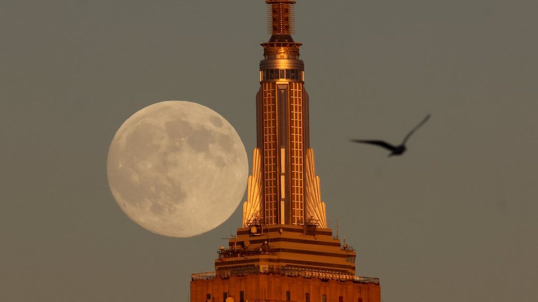 The Beaver supermoon rising over North Bondi in Sydney, Australia. Experts said it will appear 8 per cent larger than usual