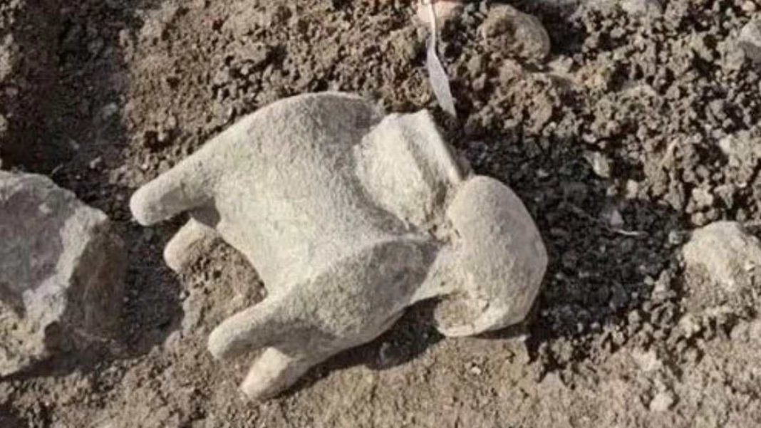 Archaeologists working in Israel uncovered cult artifacts at the site known as 'Armageddon' in the Bible