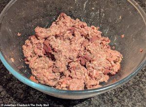 Eating offal is nothing new - it was once a popular food in Britain during WWII, but its potential to help the climate crisis may have been overlooked. Pictured, my combination of lamb's liver, pork lung and beef mince