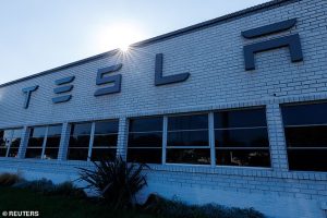 The vote is a resounding victory for Musk showing investors still have faith in him as Tesla struggles with plunging sales, market share and profits, partially driven by Musk's allegience with President Donald Trump and foray into politics