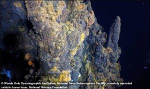 Scientists don't know yet whether the planet hosts life, but any life that does exist might look similar to that found around hydrothermal vents in Earth's deep oceans
