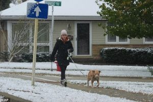One particularly fierce snowband dumped up to 12 inches of snow in just six hours over Momence, Illinois, a town about 50 miles south of Chicago. Pictured is Northbrook, Illinois, on Sunday