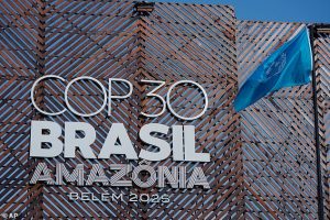 The website for this year's COP30, held in Brazil, is set to emit the equivalent of 313kg of CO2, the researchers said