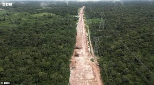 Approximately 100,000 trees have been removed from the protected Amazon rainforest in order to build a highway for guests to the COP30 climate change summit in Brazil