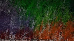 The simulation, carried out on supercomputer Fugaku with approximately 150,000 compute nodes, describes several seconds of biological dynamics of the mouse cortex