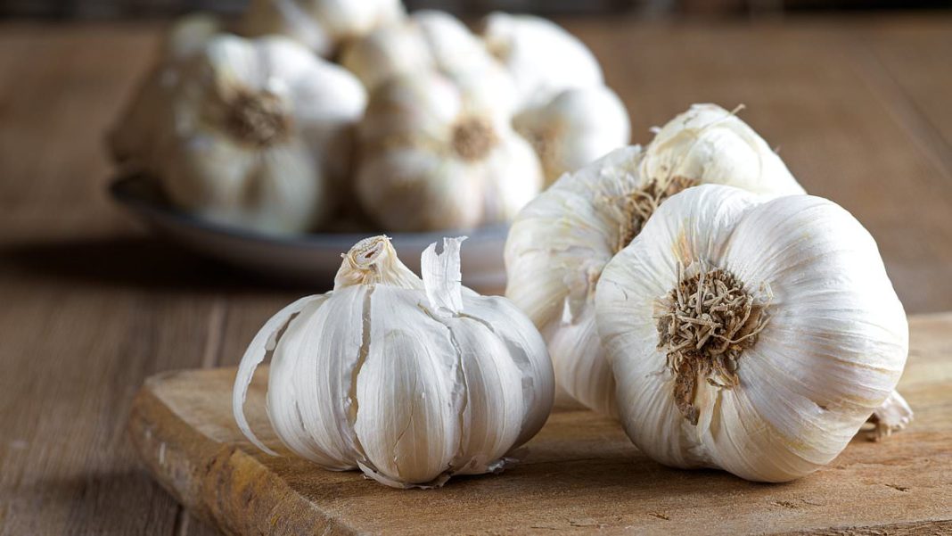 One of the studies included in the analysis found the amount of bacteria in the mouth was reduced more in the garlic group (solid line on second graph) compared to the chlorhexidine group (solid line on first graph)