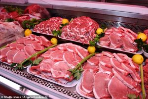 Canada as paused its plan to let clone meat enter the nation's food supply following significant input from both consumers and industry about the implications of the proposed policy change