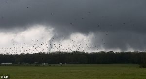 Twisters form when a thunderstorm’s rising warm air grabs hold of twisting winds near the ground and stretches that twist upward into a spinning tube (Stock Image)