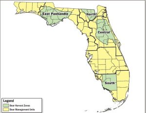 Hunts will take place in four regions: the Apalachicola area west of Tallahassee, lands west of Jacksonville, a zone north of Orlando, and the Big Cypress area southwest of Lake Okeechobee