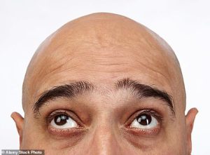 The women were most likely to have blonde hair and the men to have black hair. 'Male adults in the images were never bald,' the researchers explained in their study, published in Psychology of Popular Media (stock image)