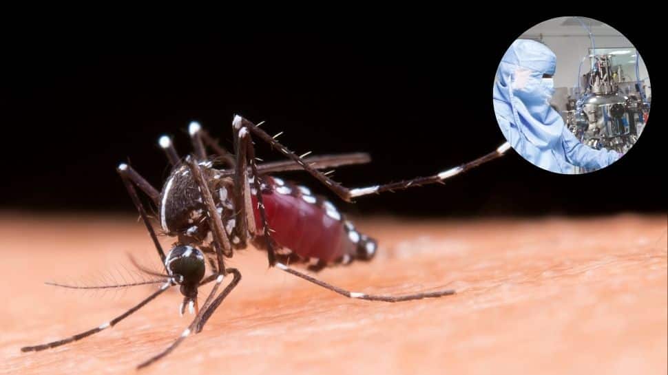 Representative image. (Photo: Freepik, X/@iitdelhi)