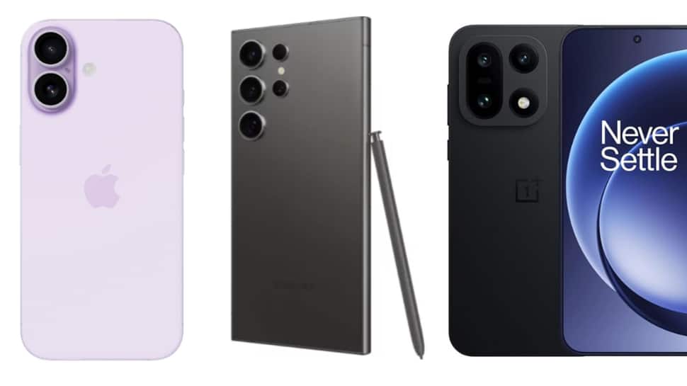 Image Source: Amazon