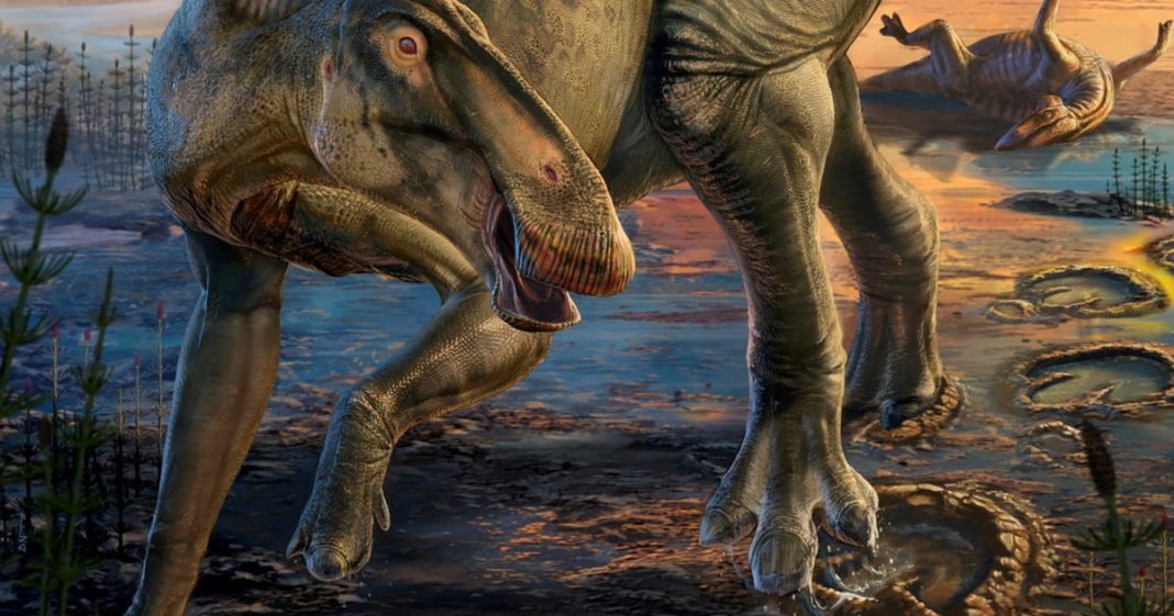 An undated artist's impression shows the duck-billed dinosaur Edmontosaurus as it appeared in life 66 million years ago, based on fossilized 