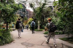 Amazon joins other large companies in justifying recent job cuts by pointing to AI. David Ryder / Bloomberg via Getty Images