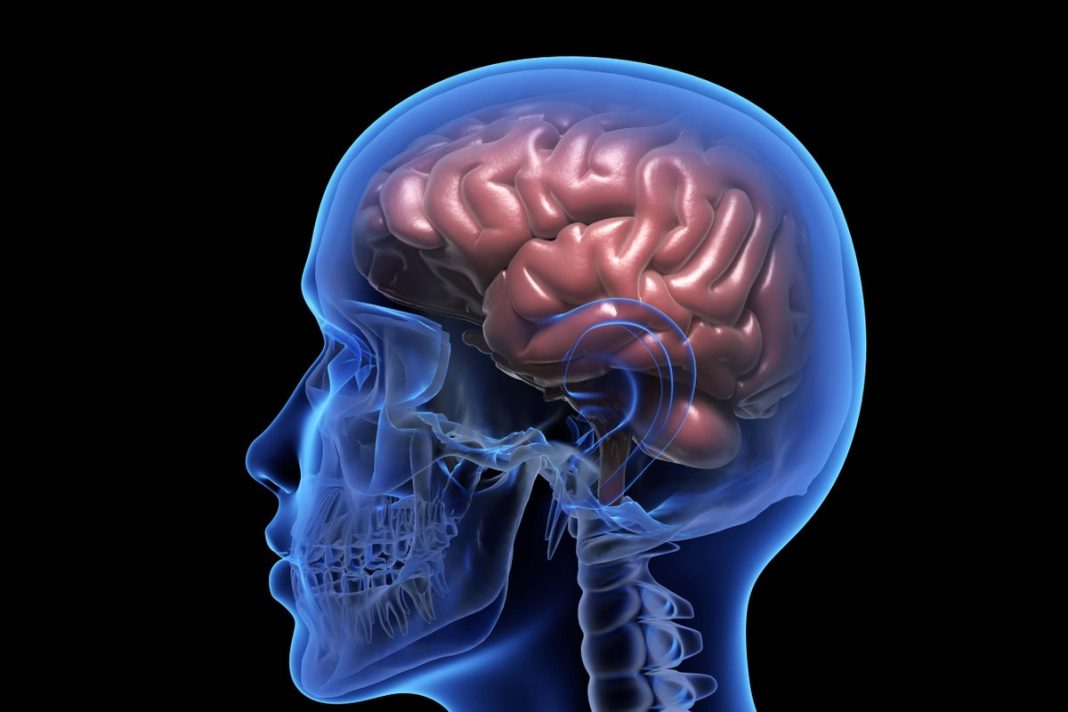 (Alamy/PA) (Alamy/PA)