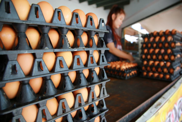 A vendor prepares trays of eggs for sale. A reduction in the prices of essential items such as pork, chicken eggs, fresh vegetables and fresh fruit contributed to the decline in the rate of inflation. (Photo: Somchai Poomlard)