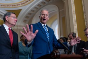 Senate Majority Leader John Thune convinced eight Democrats to help end the record government shutdown this month by promising a vote to address expiring ACA subsidies