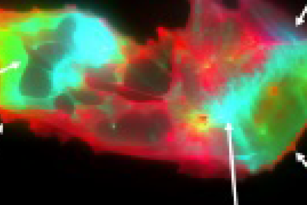 Cause of long COVID 'brain fog'