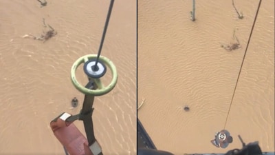 Screengrab of the viral video. (X)