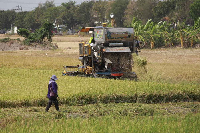 Farmers harvest rice using a combine harvester in Nonthaburi province in March. Pattarapong Chatpattarasill
