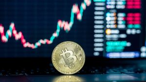 Joe’s mother says the family filed police and FBI reports, but recovery is unlikely as criminals move money fast across borders and accounts. (Photo by Silas Stein/picture alliance via Getty Images)