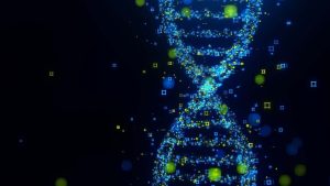 They deciphered a key molecular mechanism behind the uterus becoming receptive to an embryo. (Photo: Getty)