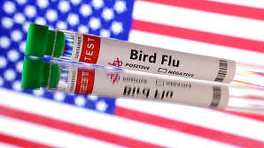 Photograph used for representational purposes only. File | Photo Credit: Reuters