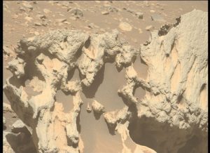 Perseverance rover acquired this close-up view showing the cavernous weathering texture of an unusually shaped rock, Phippsaksla. (Photo: Nasa)
