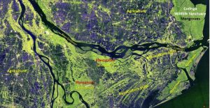 Mangroves and other land use in Godavari Delta, Andhra Pradesh. (Photo: Isro)