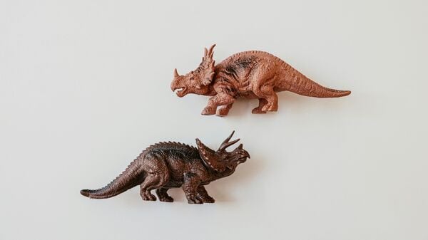 A fossil believed to be of the Triceratops dinosaur, has reportedly been excavated along the banks of the Sahansara River in Saharanpur district of Uttar Pradesh.