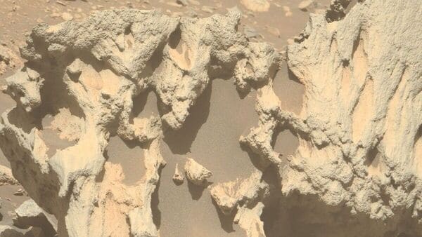 Perseverance's discovery highlights the rover’s ongoing mission to study Mars’ geology, search for signs of ancient life, and collect samples for future return missions. (Image: NSA website)